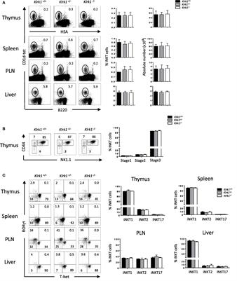 Critical Contribution of NK Group 2 Member D Expressed on Invariant Natural Killer T Cells in Concanavalin A-Induced Liver Hepatitis in Mice